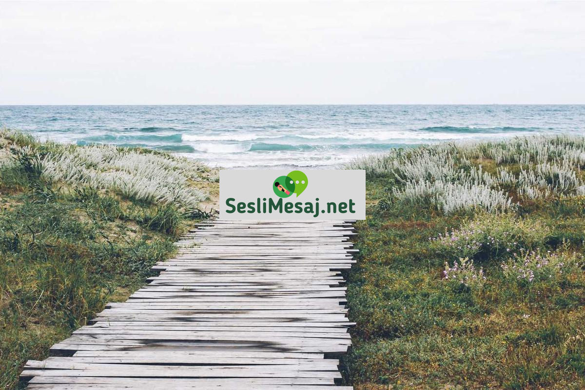 Dijital Bağımlılık Sohbeti: Aşırı Sohbet Kullanımını Yönetme