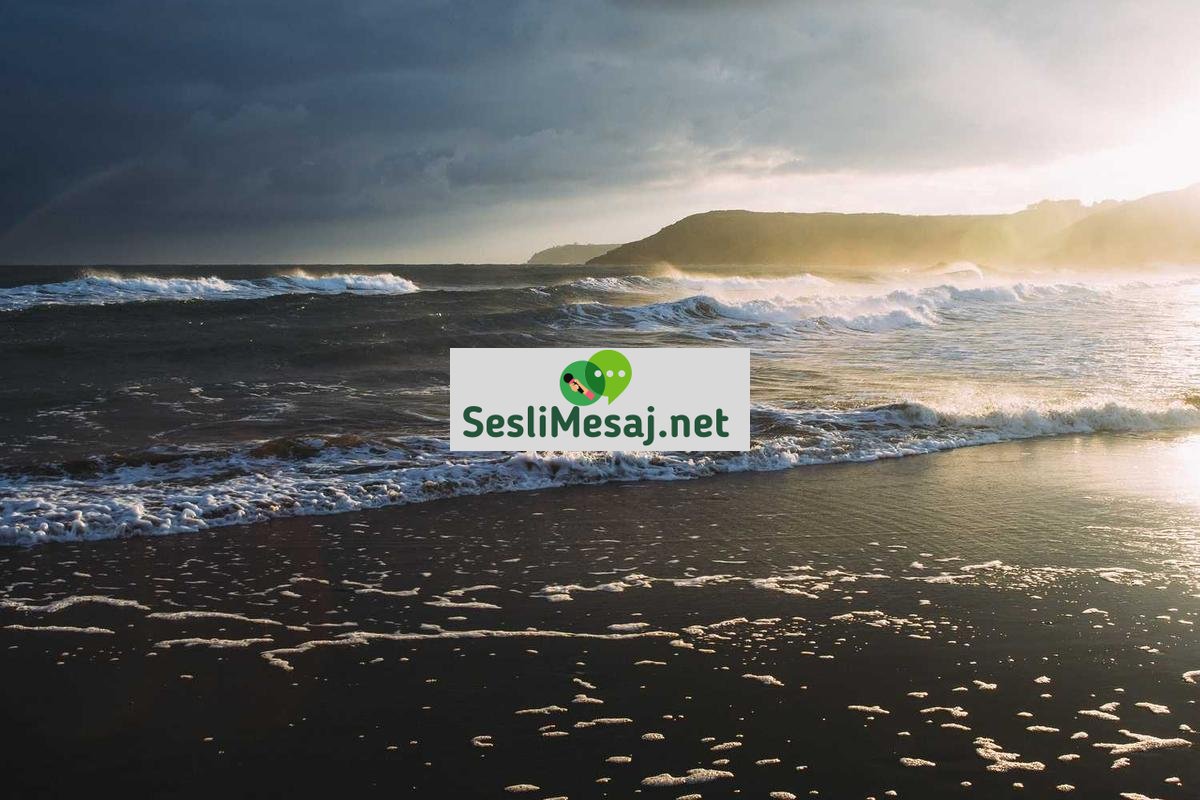 Dijital Minimalizm Sohbeti: Teknolojiyi Bilinçli Kullanma