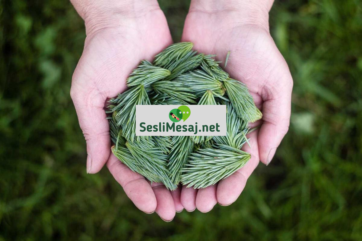 Dijital Pazarlamada Etik Reklamcılık Sohbeti: Sorumluluk