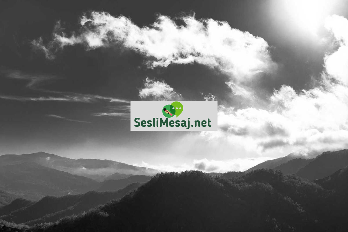 Dijital Pazarlamada Etik Reklamcılık Sohbeti: Sorumluluk