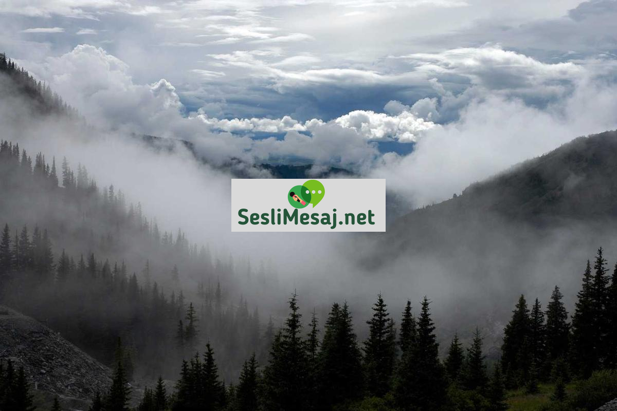 Dijital Pazarlamada Etik Reklamcılık Sohbeti: Sorumluluk