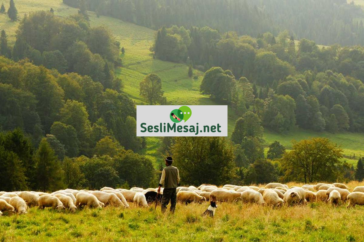 Dijital Pazarlamada Etik Reklamcılık Sohbeti: Sorumluluk