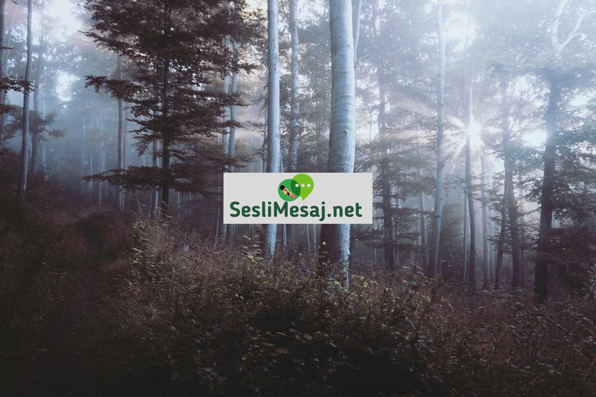 Dijital Pazarlamada Etik Reklamcılık Sohbeti: Sorumluluk