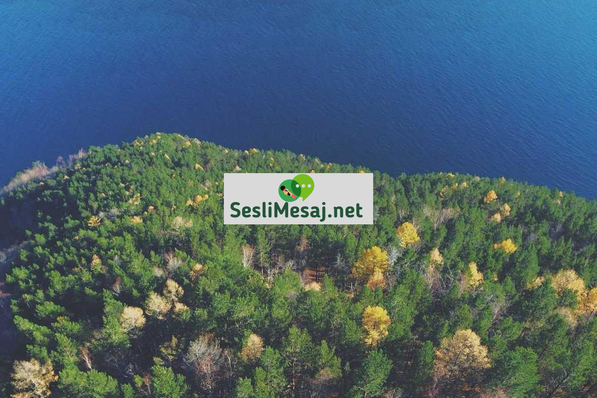 Dinleme Sanatı Sohbeti: Aktif ve Anlayışlı Dinleme