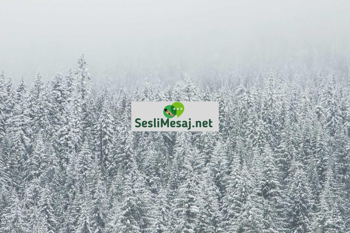 Dinlenme Chat: Rahatlatıcı ve Stres Azaltıcı İletişim