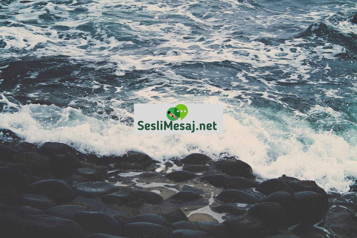 Din ve Ahlak İlişkisi Sohbeti: Etik