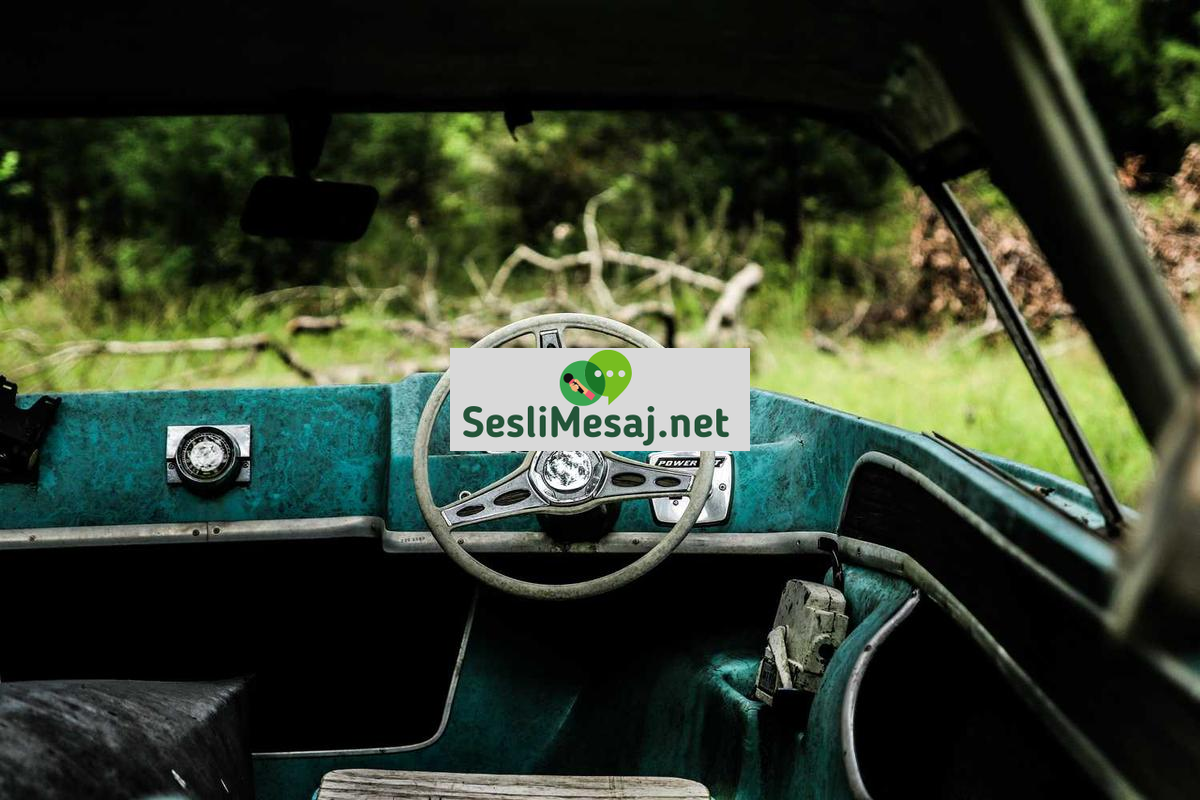 Din ve Geleneksel Yaşam Sohbeti: Kültür