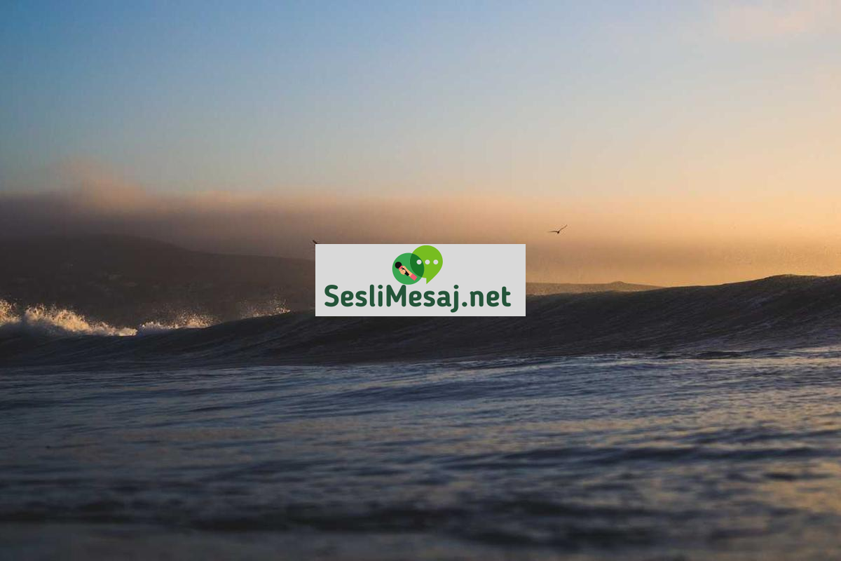 Discord Sohbet Sunucuları: Hobi ve Oyun Merkezli İletişim