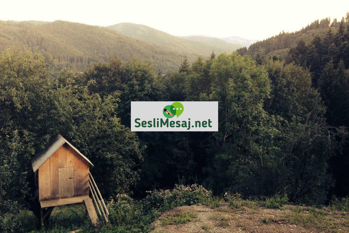 Discord Sohbet Sunucuları: Hobi ve Oyun Merkezli İletişim