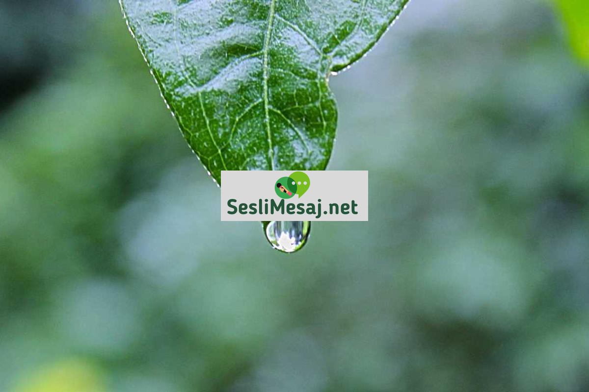 Distilasyon Sohbeti: İçki Yapım Teknikleri