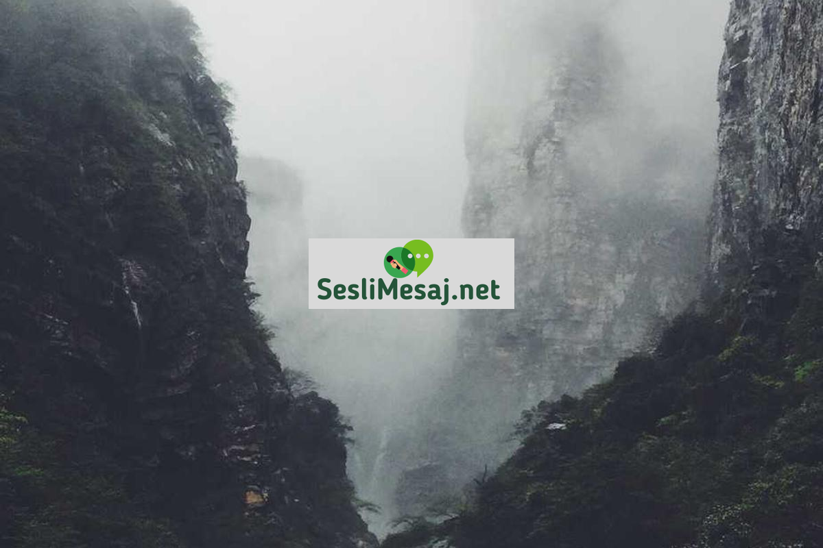 Doğa ile Uyum Sohbeti: Çevreye Saygılı Yaşam