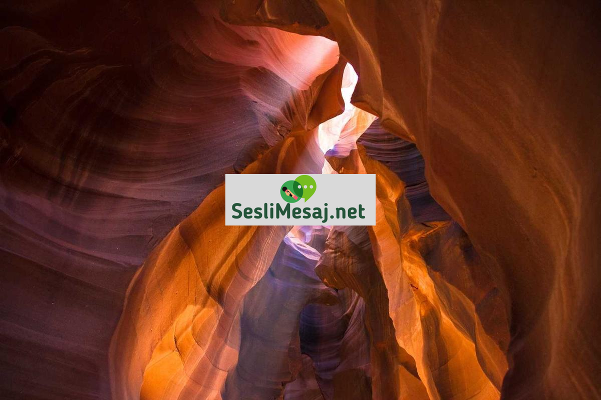 Duygusal Zeka Geliştirme Kursları Sohbeti: Eğitim