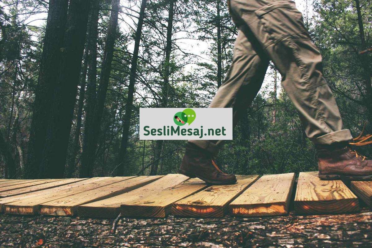 Duygusal Zeka ve Sosyal İlişkiler Sohbeti: Bağ