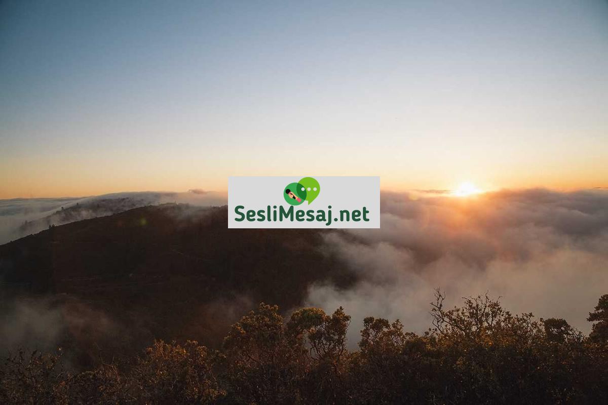 Duygusal Zeka ve Sosyal İlişkiler Sohbeti: Bağ