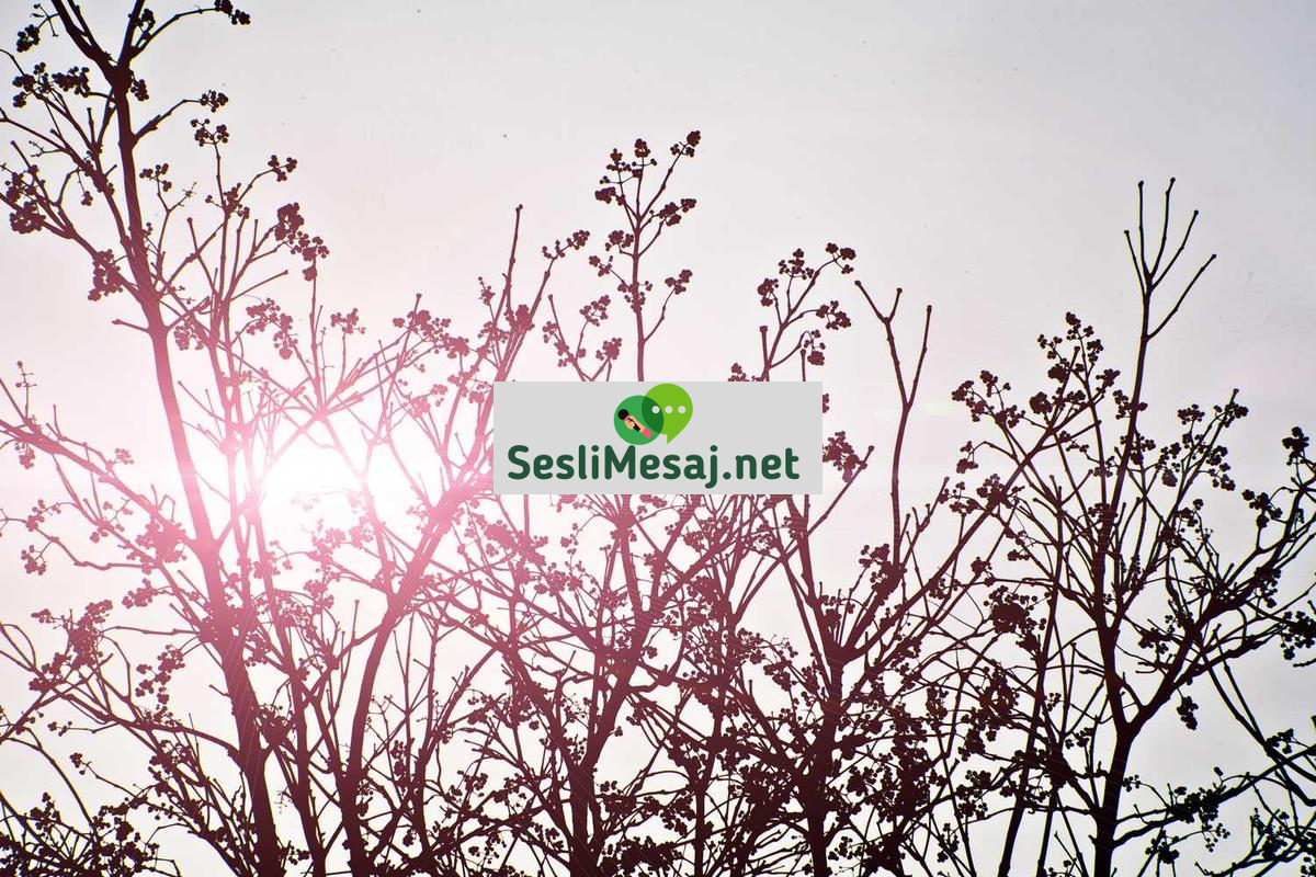 Dövmelerin Anlamları Sohbeti: Sembolizm ve Hikayeler