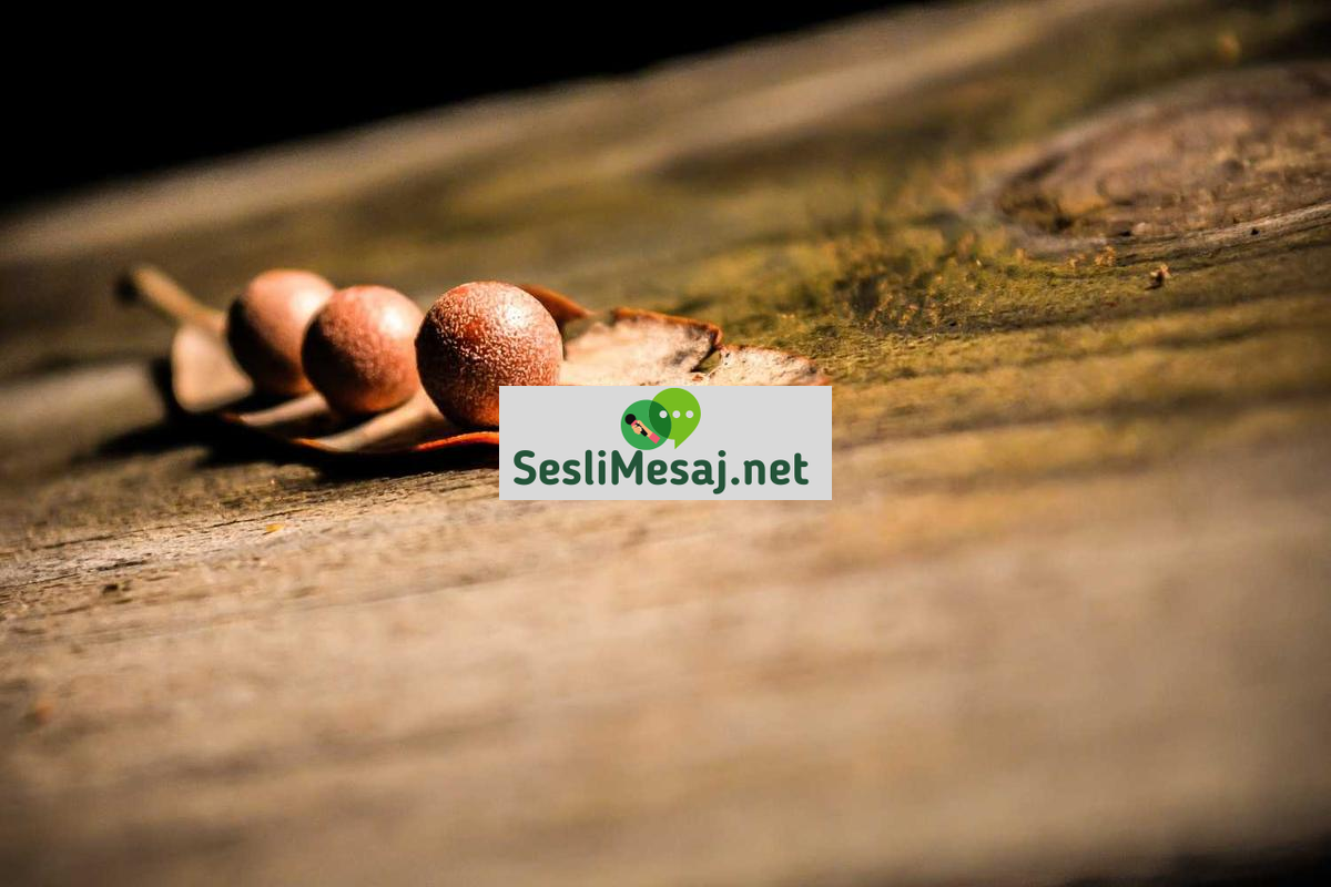 Ebeveynlikte Çocuklarda Okul Başarısı Sohbeti: Destek