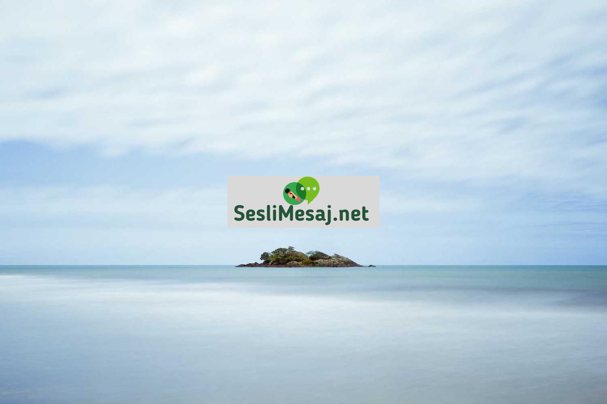 Ebeveynlikte Çocuklarda Okul Başarısı Sohbeti: Destek