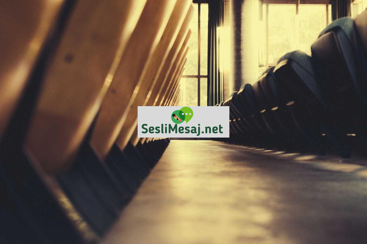 Ebeveynlikte Çocukların Sosyal Becerileri Sohbeti: Gelişim