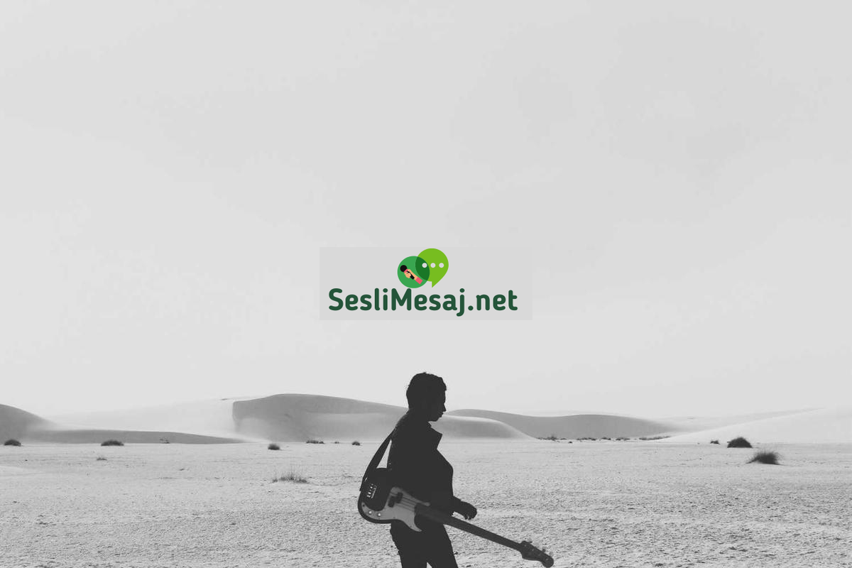 Edebiyatın Sanatsal Değeri Sohbeti: Estetik