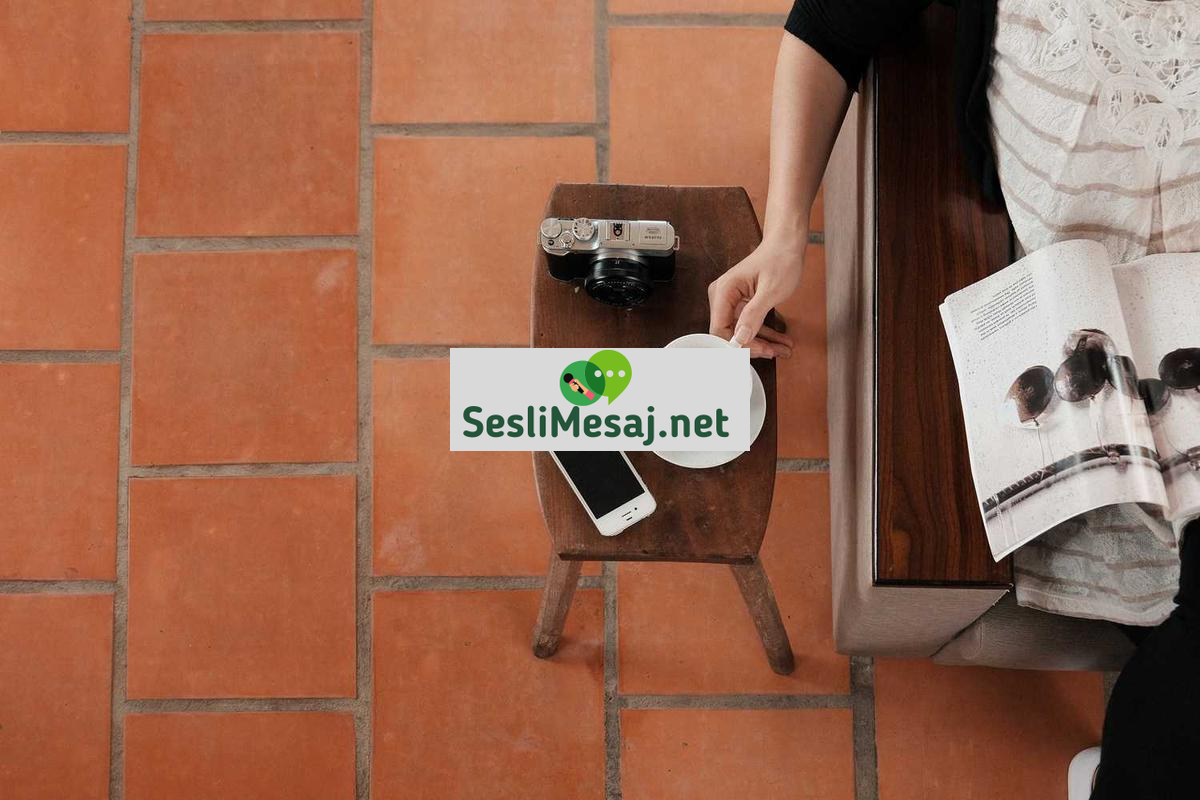 Edebiyatın Sanatsal Değeri Sohbeti: Estetik