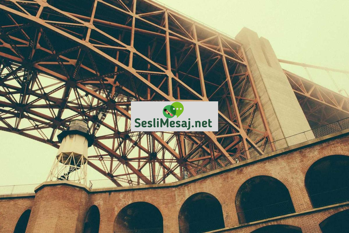 Edebiyatın Toplumsal Eleştiri Rolü Sohbeti: Roman