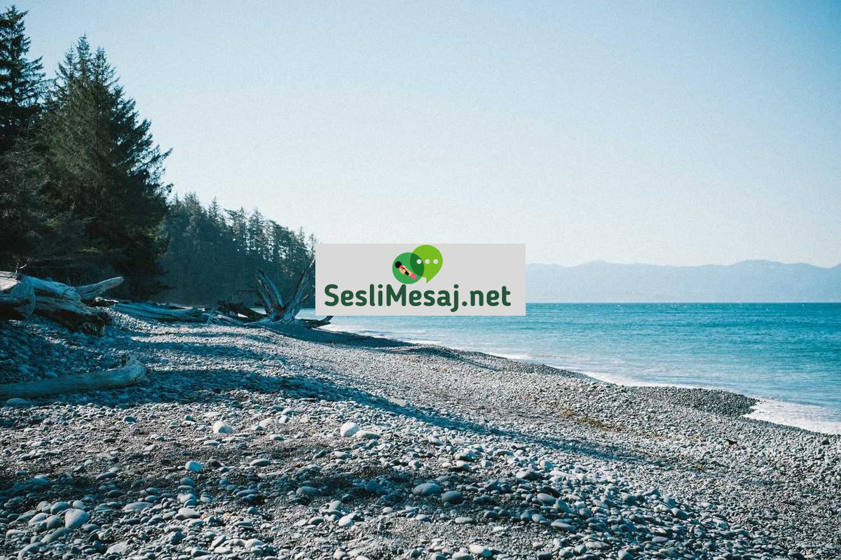 Edebiyatın Toplumsal Eleştiri Rolü Sohbeti: Roman