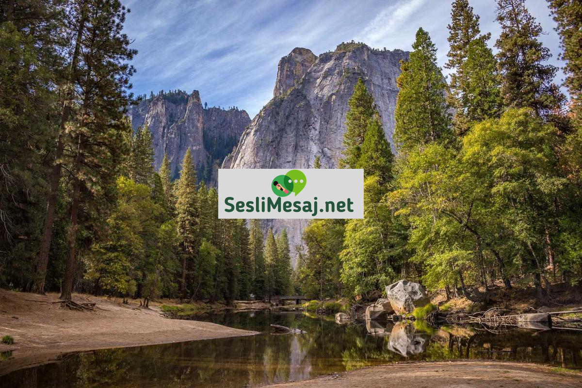 Edebiyatın Toplumsal Eleştiri Rolü Sohbeti: Roman