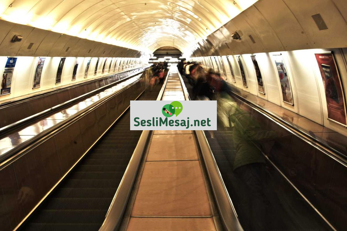 Edebiyatın Toplumsal Eleştiri Rolü Sohbeti: Roman