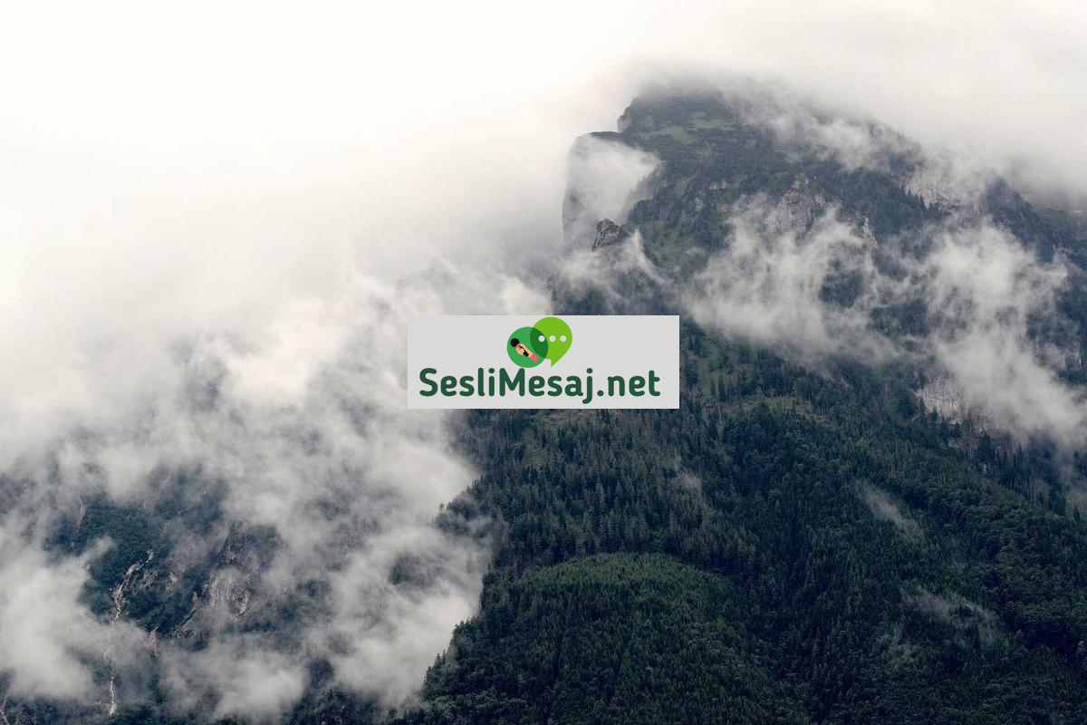 Edebiyatın Toplumsal Eleştiri Rolü Sohbeti: Roman