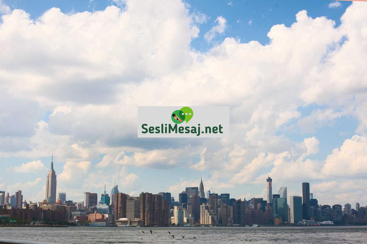 Edebiyatın Toplumsal Eleştiri Rolü Sohbeti: Roman