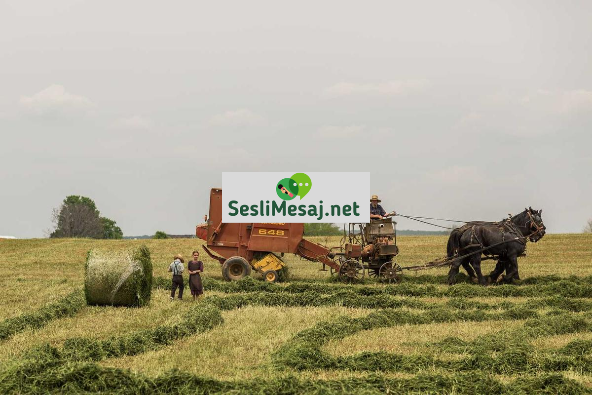 Edebiyatın Toplumsal Eleştiri Rolü Sohbeti: Roman