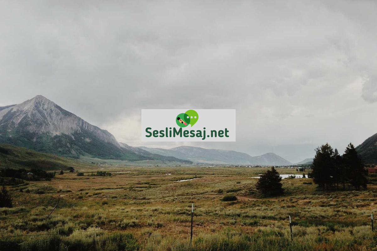 Edebiyatın Toplumsal Hafıza Rolü Sohbeti: Tarihi Eserler