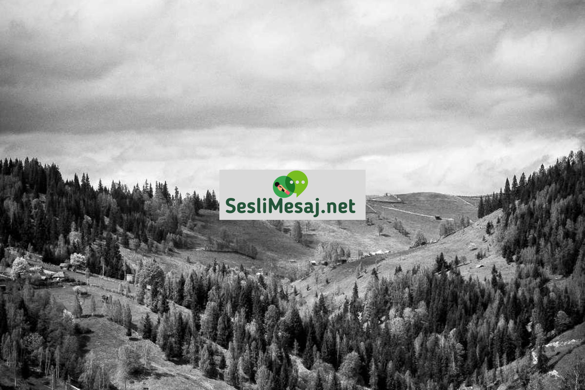 Edebiyatın Toplumsal Hafıza Rolü Sohbeti: Tarihi Eserler