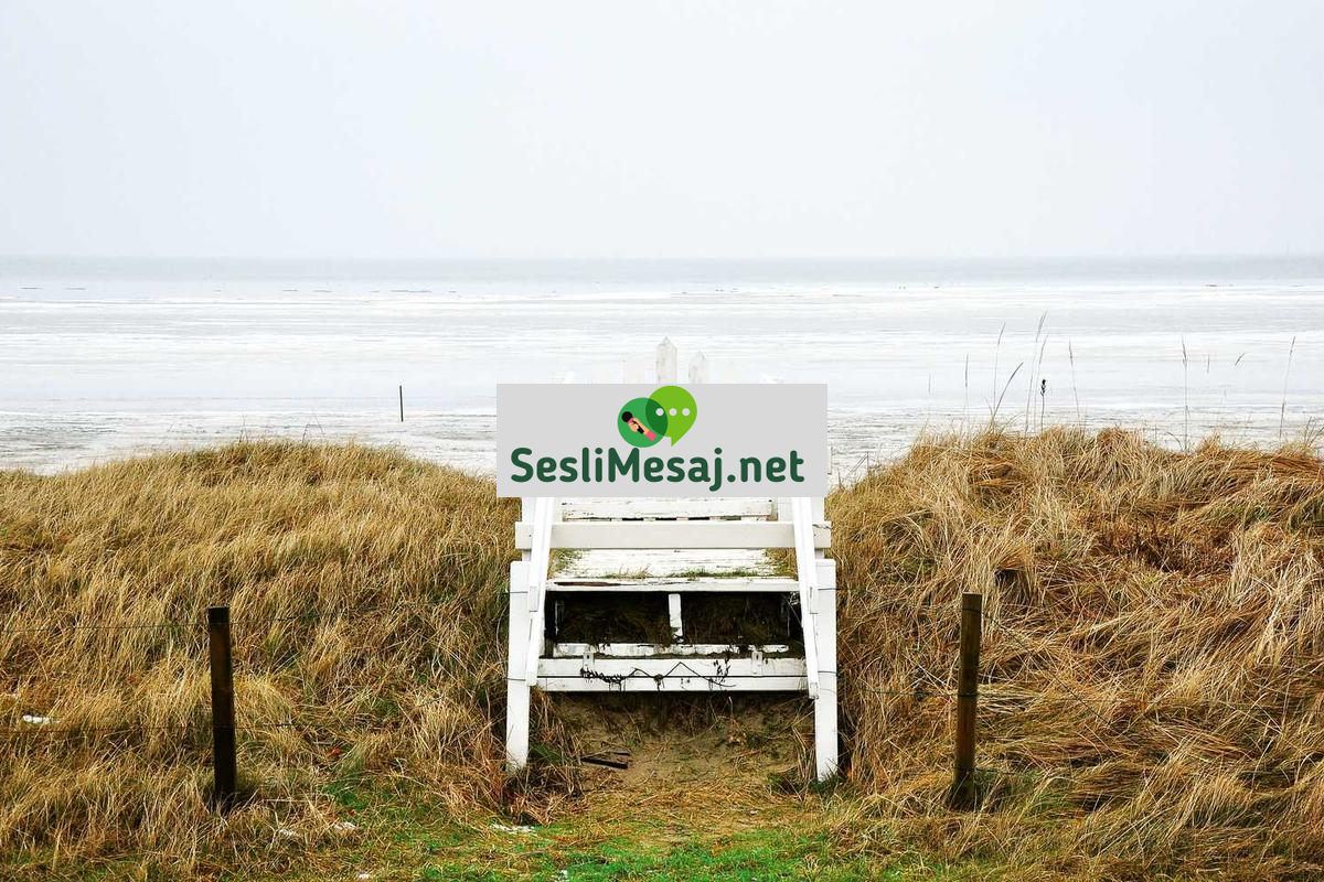 Edebiyat ve Toplumsal Değerler Sohbeti: Roman