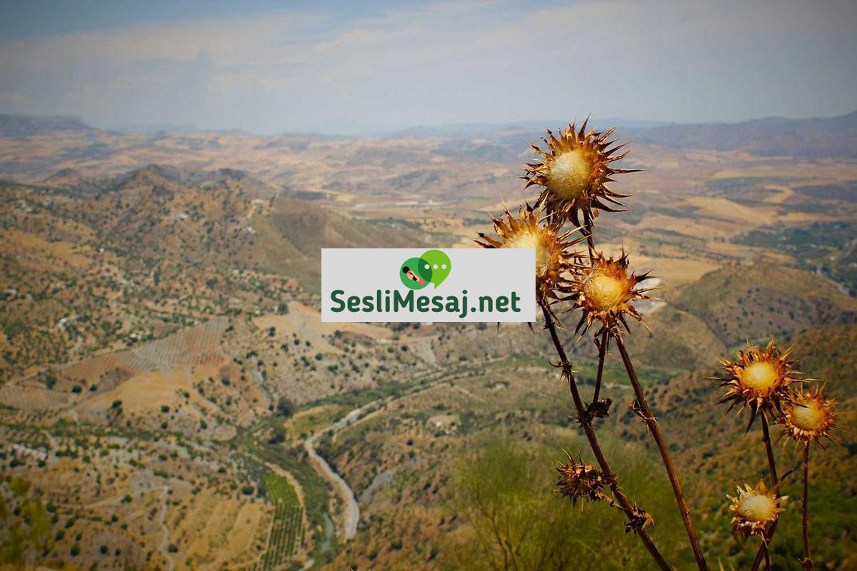 Ege Sohbet: Ege Bölgesi’nin En Samimi Chat Odaları