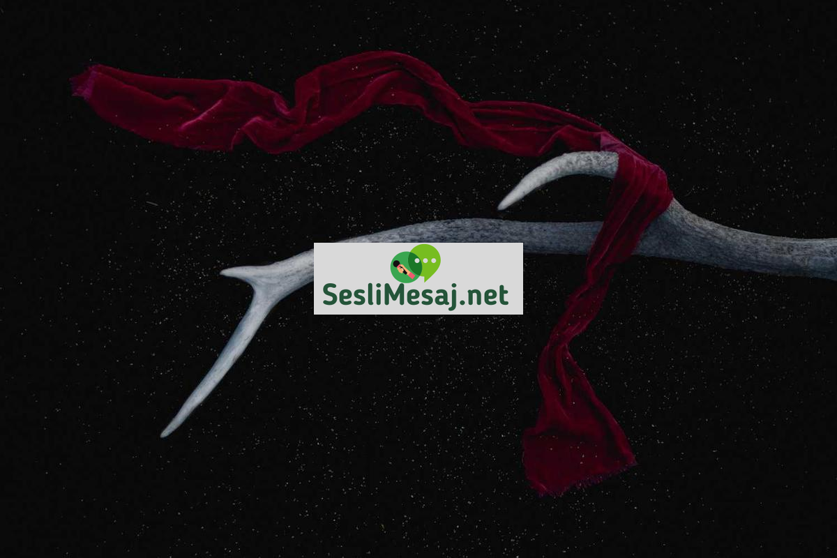 Ek Gelir Chat: Pasif Gelir Kaynakları Yaratma