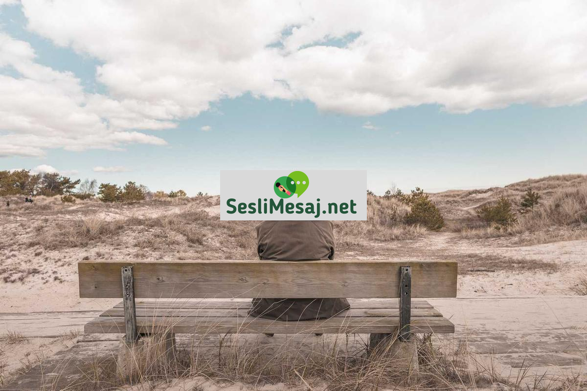 Emeklilik Planları Sohbeti: Bireysel Emeklilik Sistemi (BES)