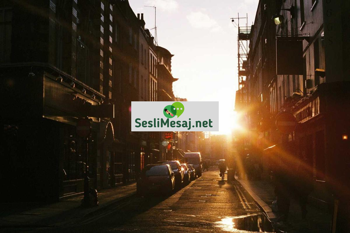 Emlak Yatırımında Kiracı Seçimi Sohbeti: Risk