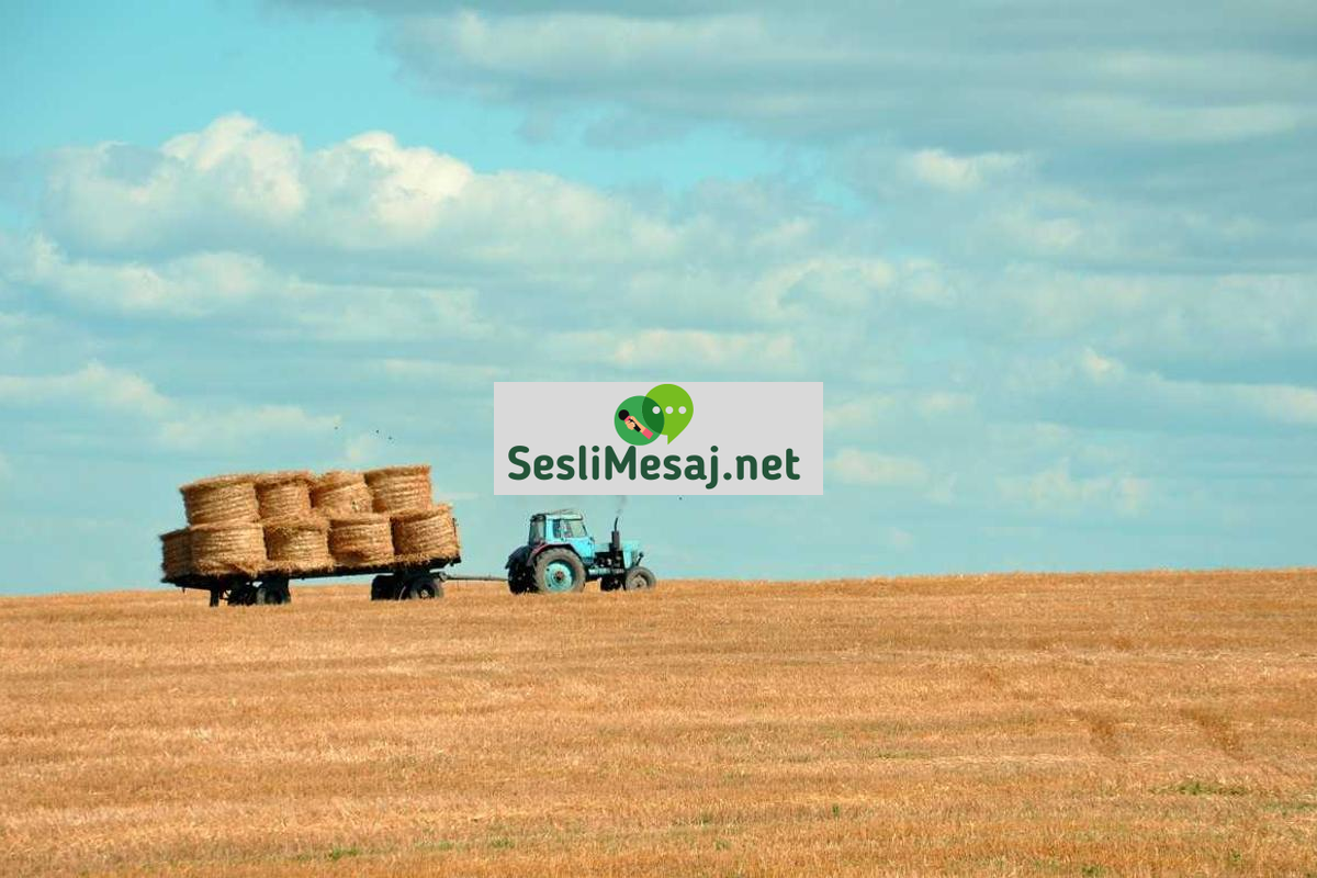 Emlak Yatırımında Kiracı Seçimi Sohbeti: Risk