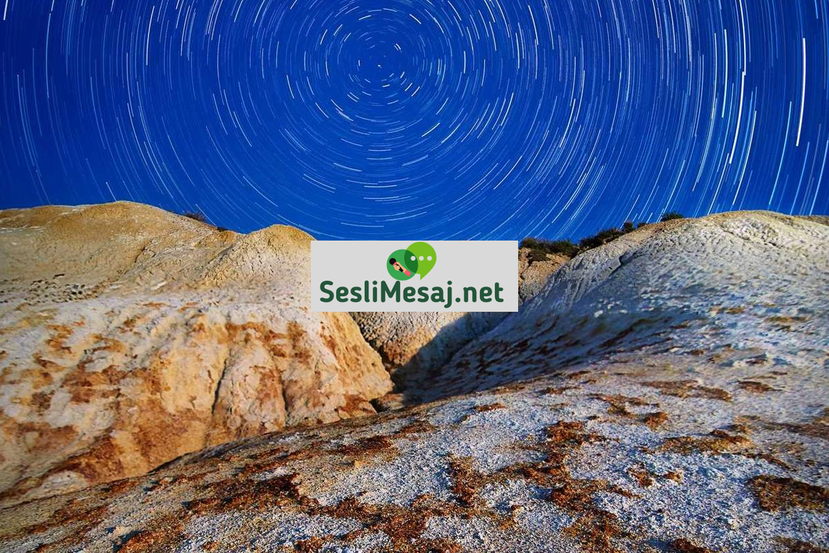 Emlak Yatırımında Kiracı Seçimi Sohbeti: Risk