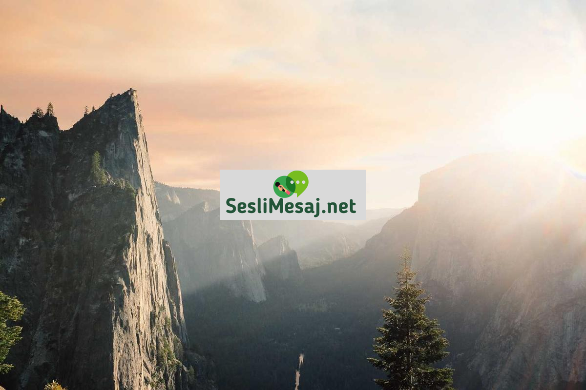 Emlak Yatırımında Kira Kontrolü Sohbeti: Yasal Bilgiler