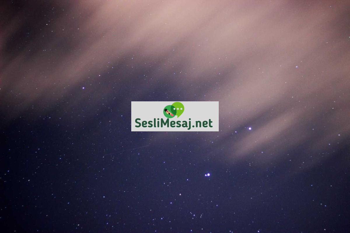 Emlak Yatırımında Risk Yönetimi Kursu Sohbeti: Eğitim