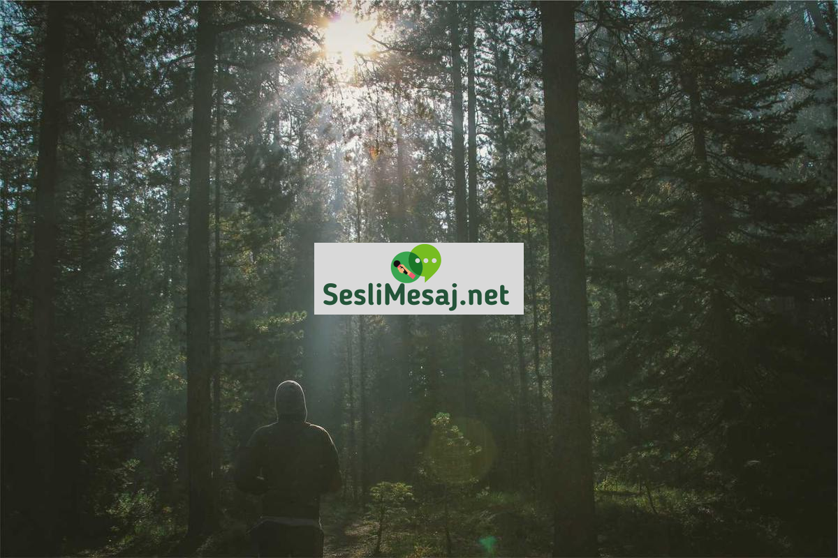 E-Spor Takımlarında Sözleşme Hukuku Sohbeti: Yasal