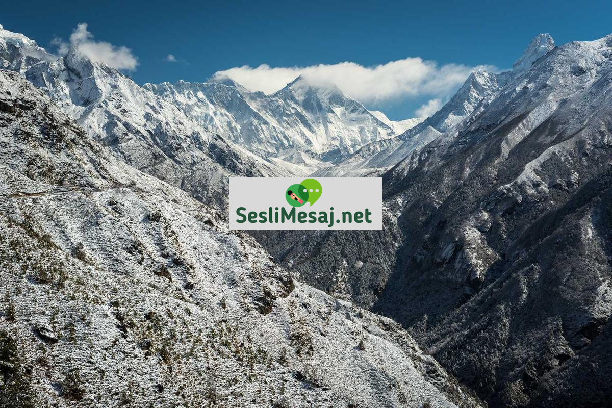 E-Spor İzleyici Sayıları Sohbeti: Pazar Büyüklüğü