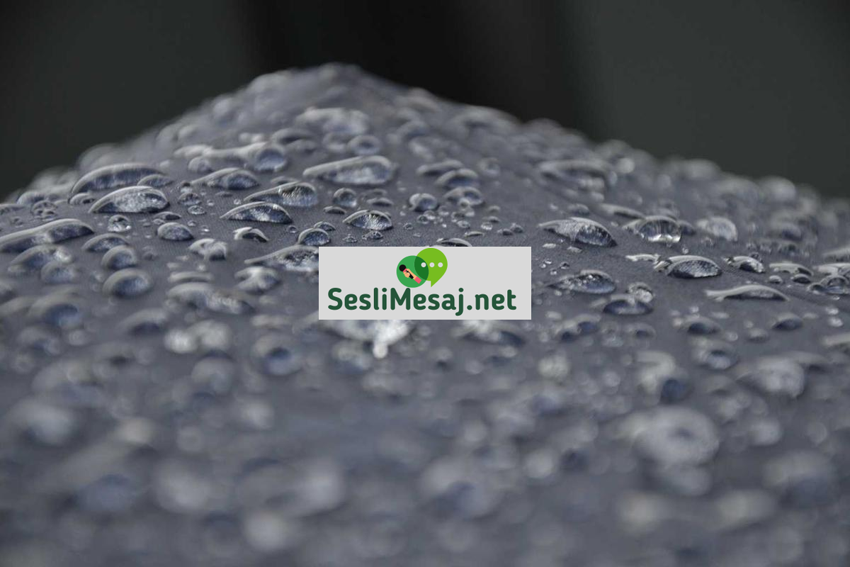 E-Ticaret Depo Yönetimi Sohbeti: Otomasyon ve Verimlilik