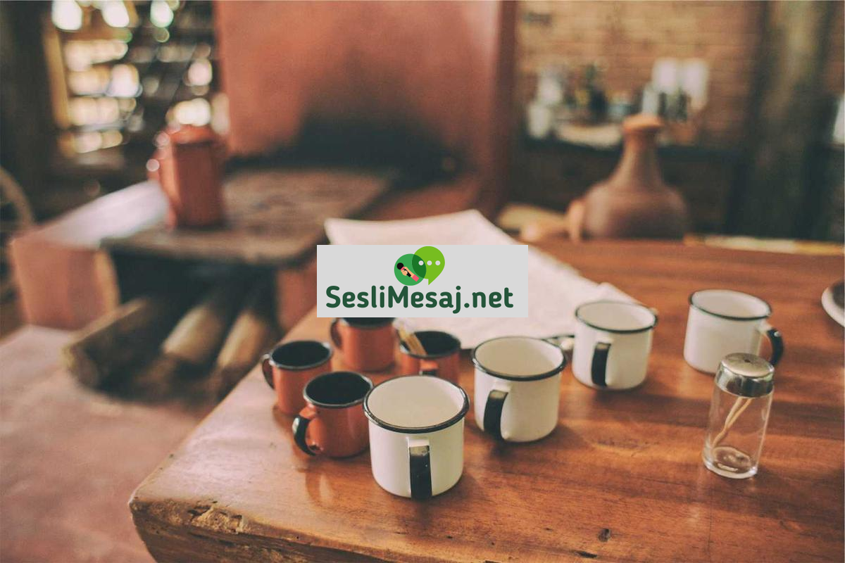 Çevre Dostu Temizlik Sohbeti: Kimyasal İçermeyen Ürünler