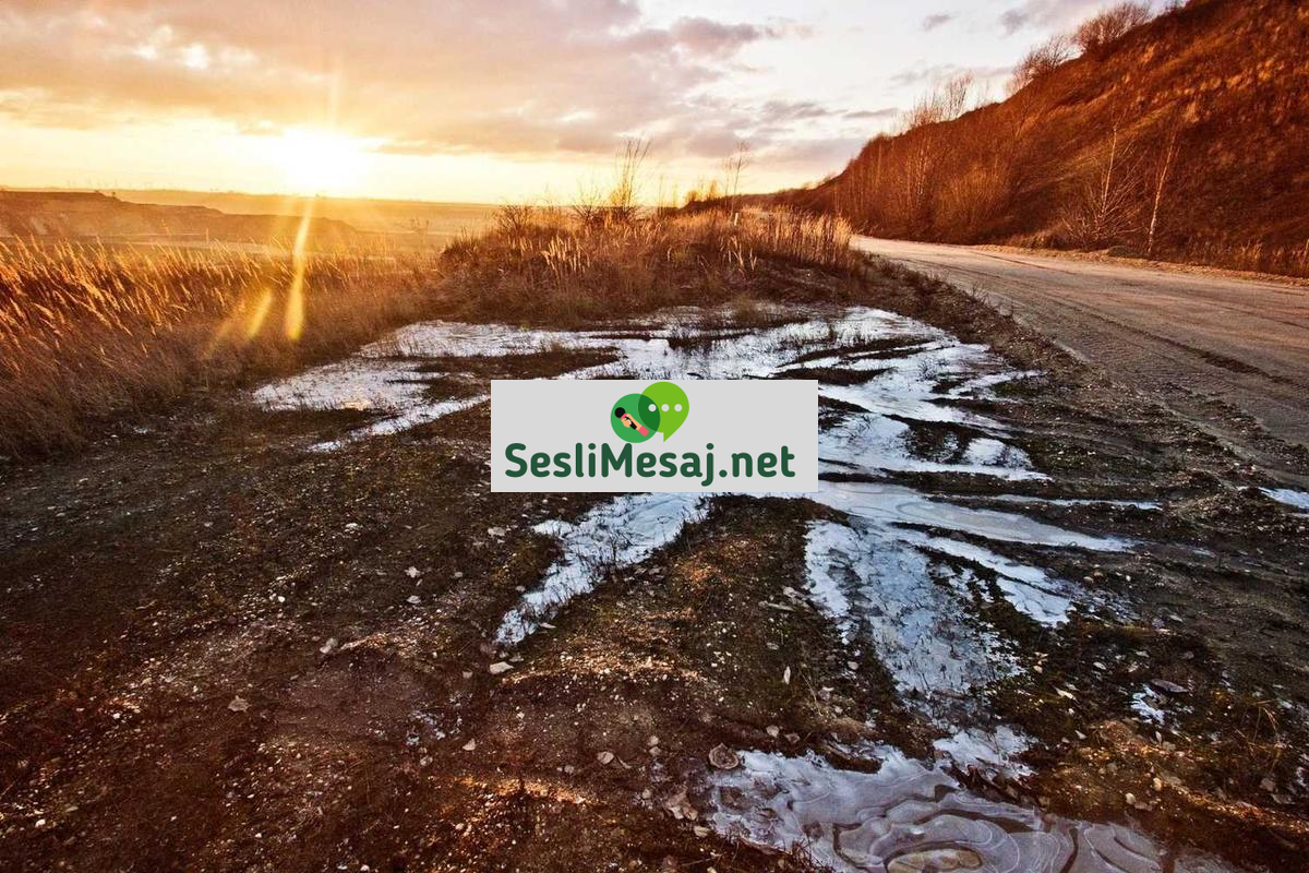 Çevre Sorunları Sohbeti: İklim Değişikliği ve Çözüm Yolları