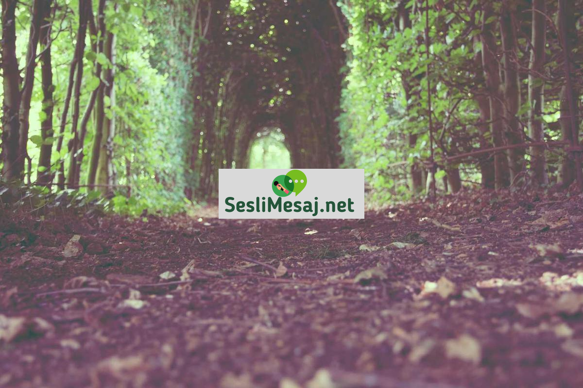 Farklı İnanç Grupları Sohbeti: Hoşgörü ve Saygı