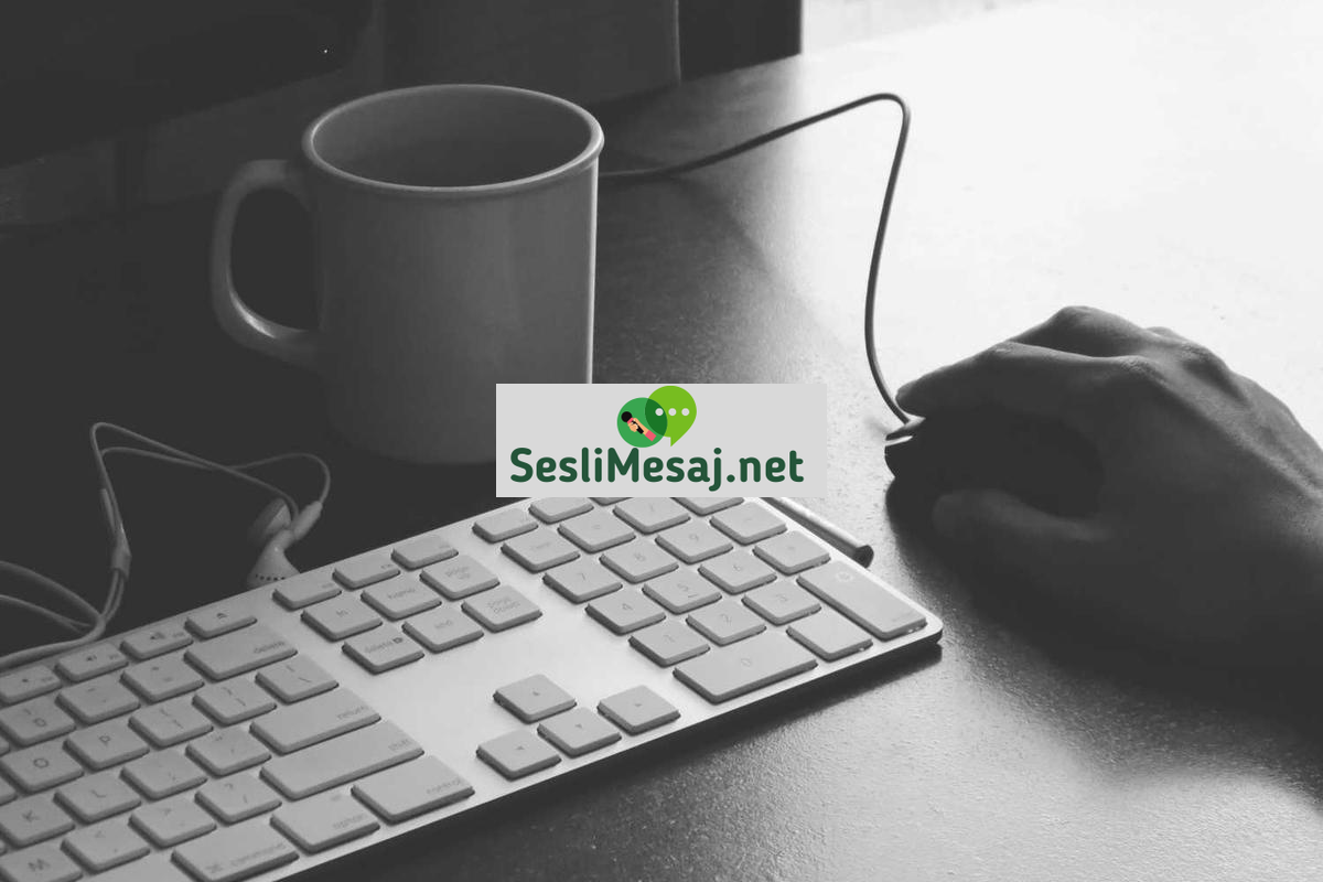 Felsefe Sohbeti: Hayatın Anlamı ve Düşünsel Tartışmalar