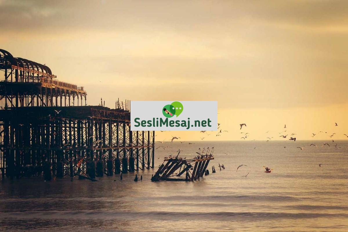 Felsefi Tartışmalarda Bilgi Teorisi Sohbeti: Hakikat